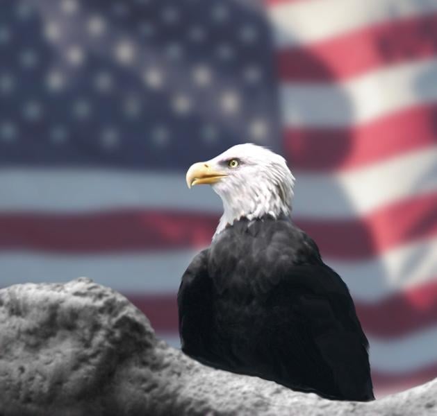 Microsoft poprosił Google o wyrzucenie z wyszukiwarki amerykańskiego rządu