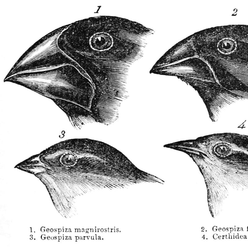 Nexus kosztuje 199$, a Surface 999$. Gdzie jest sens?