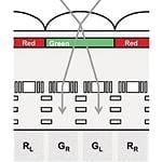 Zdjęcia 3D łatwiejsze niż kiedykolwiek przedtem