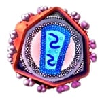 Przełom w badaniach nad wirusem HIV