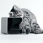 Petcube – pobaw się zdalnie ze swoim zwierzakiem