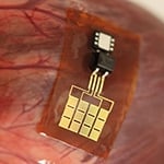 Naukowcy chcą zmienić człowieka w elektrownię