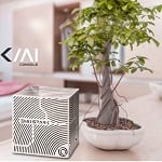 EmoSPARK: sztuczna inteligencja zamknięta w sześcianie