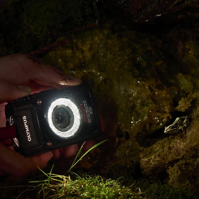Olympus Tough TG-3: twardziel z niezwykłą lampą makro