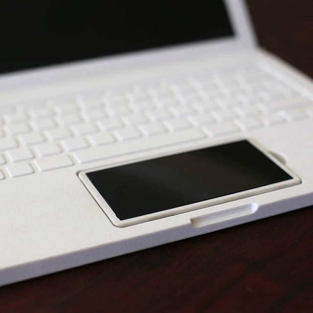 Seed: smartfon, tablet, notebook, pecet i TV w jednym