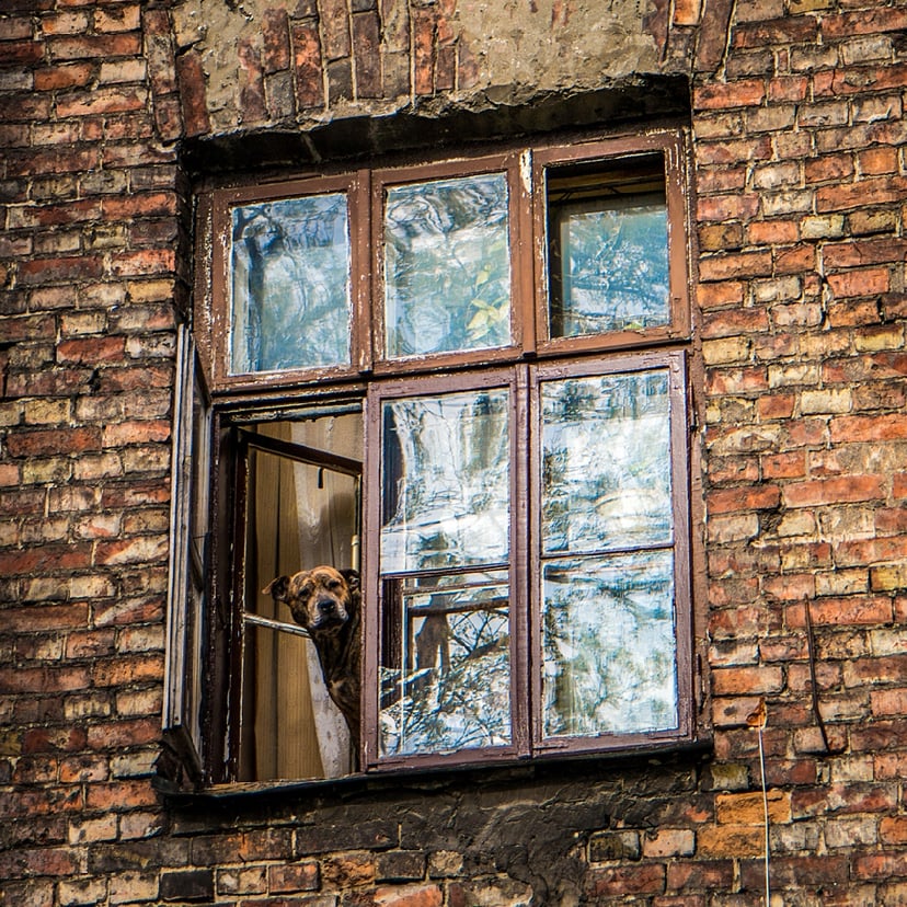 Z Samsungiem na warszawskiej Pradze