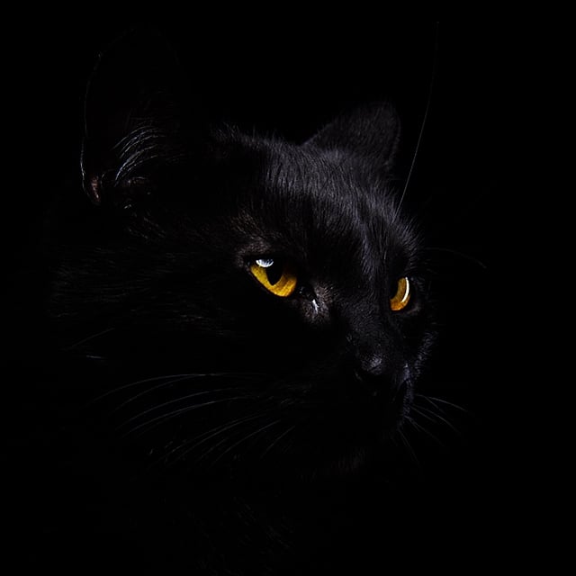 Najciemniejszy materiał świata: czerń tak czarna, że jej nie widać