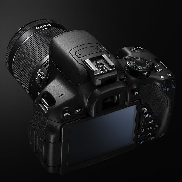 Nowe lustrzanki Canona bez wizjera optycznego?