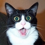 YouTube ledwo na siebie zarabia