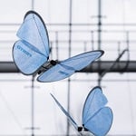 Robotyczne mrówki, motyle i język kameleona! [wideo]