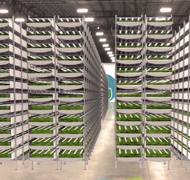 Największa na świecie farma wertykalna stanie w USA jeszcze w tym roku