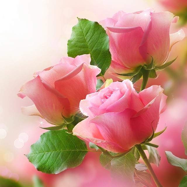 Naukowcy wyhodowali… elektroniczną różę