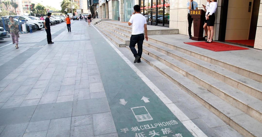 Pas dla smartfonowych zombie jak ścieżka rowerowa