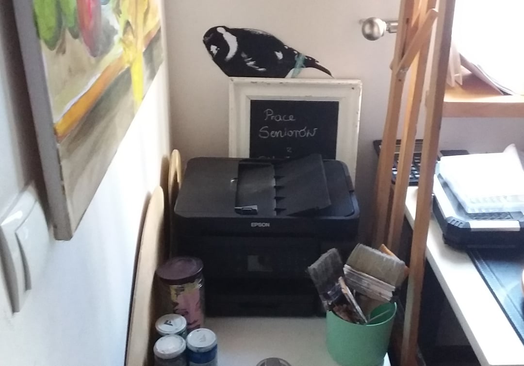 Start Up? Print Up! – drugi tydzień pracy