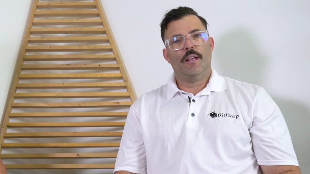BitHarp to oszustwo?