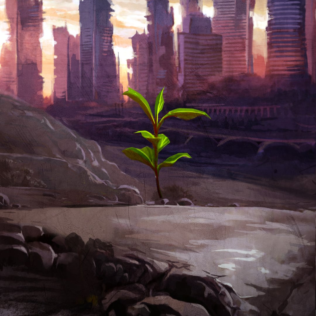 Węgiel – bardzo ważny pierwiastek