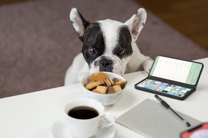 CastAway: nie musisz kupować nowego smartfonu, żeby mieć dwa ekrany