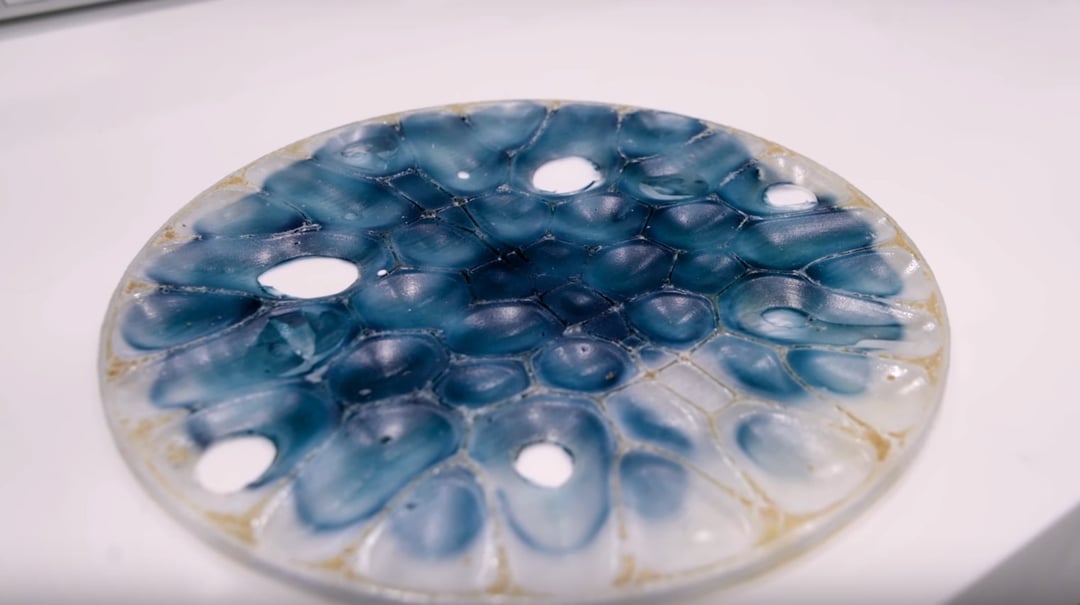 Powstały wydruki 3D, które mogą kontrolować żywe organizmy