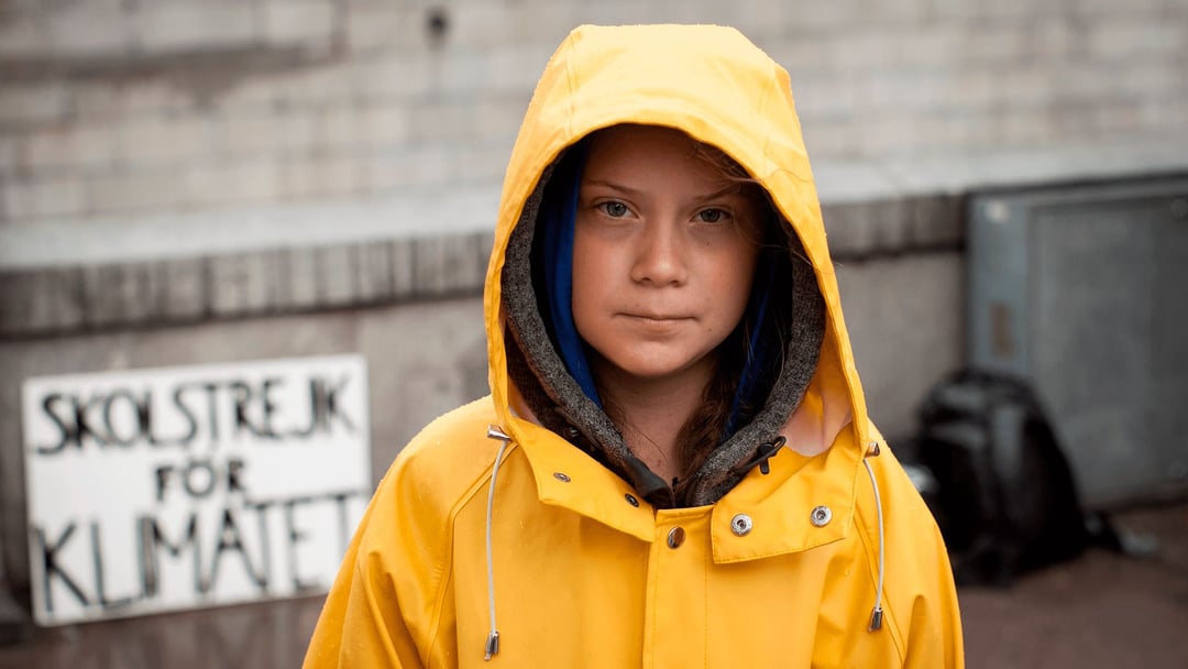 Greta Thunberg i nowa kampania hakerska