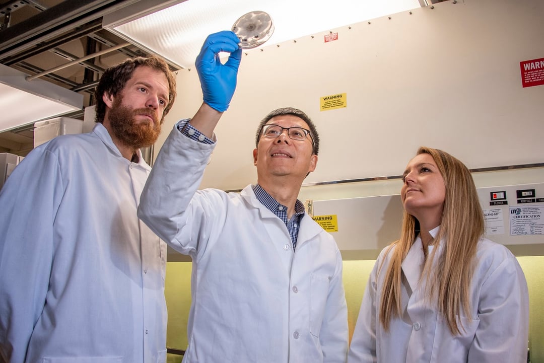 Chcą wysłać grzyby na Księżyc. Co planują naukowcy?