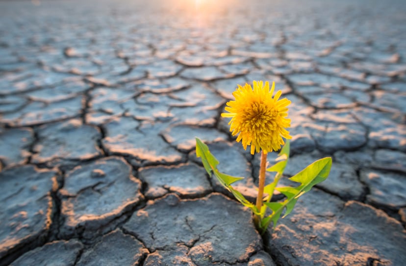 Kosztowne zmiany klimatyczne – zahamowanie globalnego ocieplenia nie będzie łatwe
