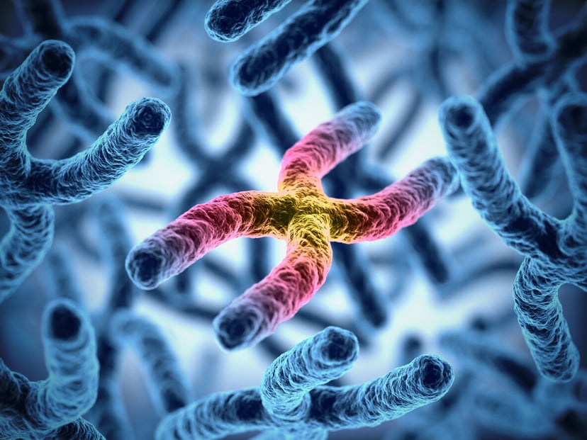 Masa chromosomów ujawniona – wielki przełom w genetyce