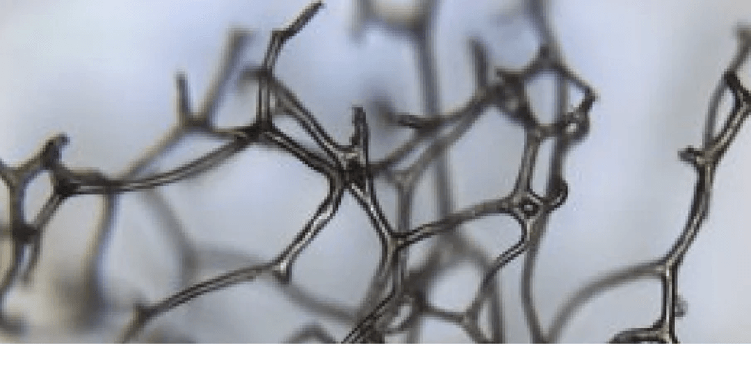 Życie zwierząt mogło rozwinąć się dużo wcześniej niż dotychczas sądzono