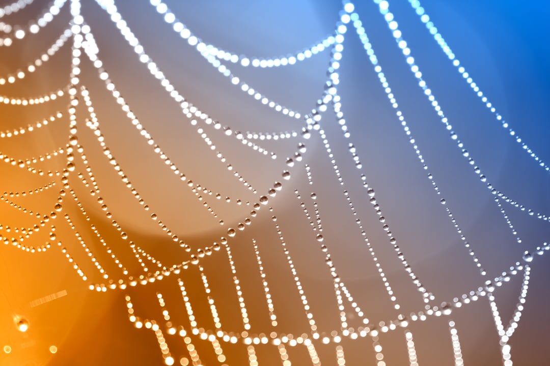 Stworzono włókna wytrzymalsze niż stal i Kevlar