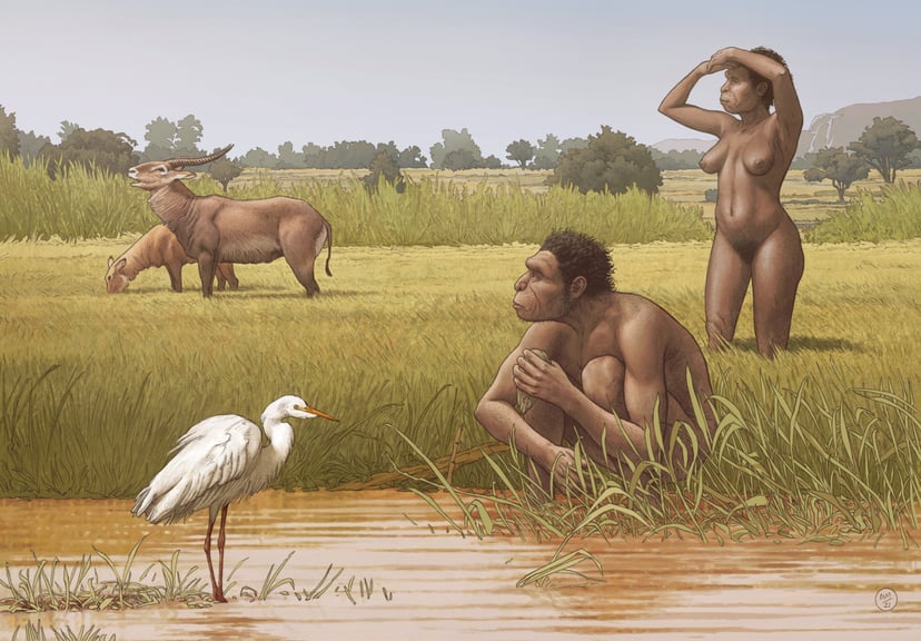 Homo bodoensis – oto nasz nowy, bezpośredni przodek