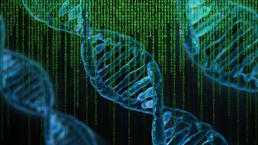 Decyzję podejmie za nas algorytm. Polak stworzył rozwiązanie inspirowane DNA