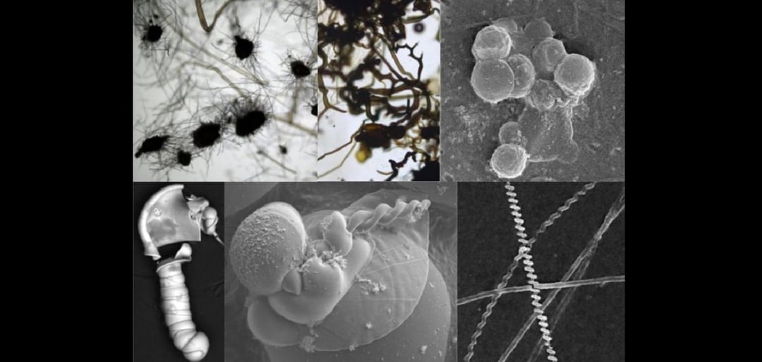 Naukowcy ostrzegają: uwaga na marsjańskie fałszywki