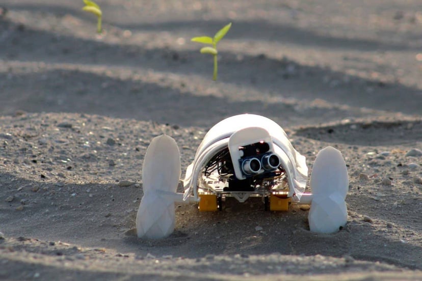 A’seedbot to genialny robot do sadzenia roślin na pustyni. Powstał w ramach pracy dyplomowej