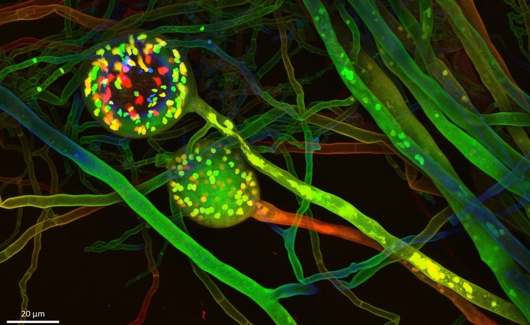 Naukowcy zbadają tajemnicze podziemne królestwo. Pomoże im wirtualna mapa rozciągająca się na wiele kilometrów