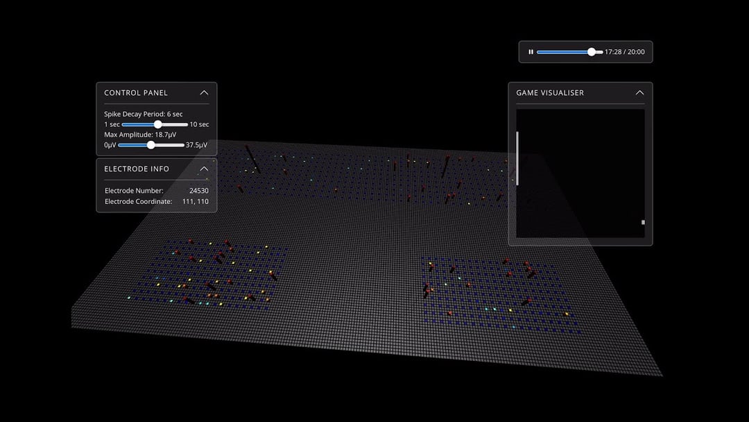 Ludzkie komórki mózgowe grają w Ponga. Naukowcy uwiecznili to na wideo