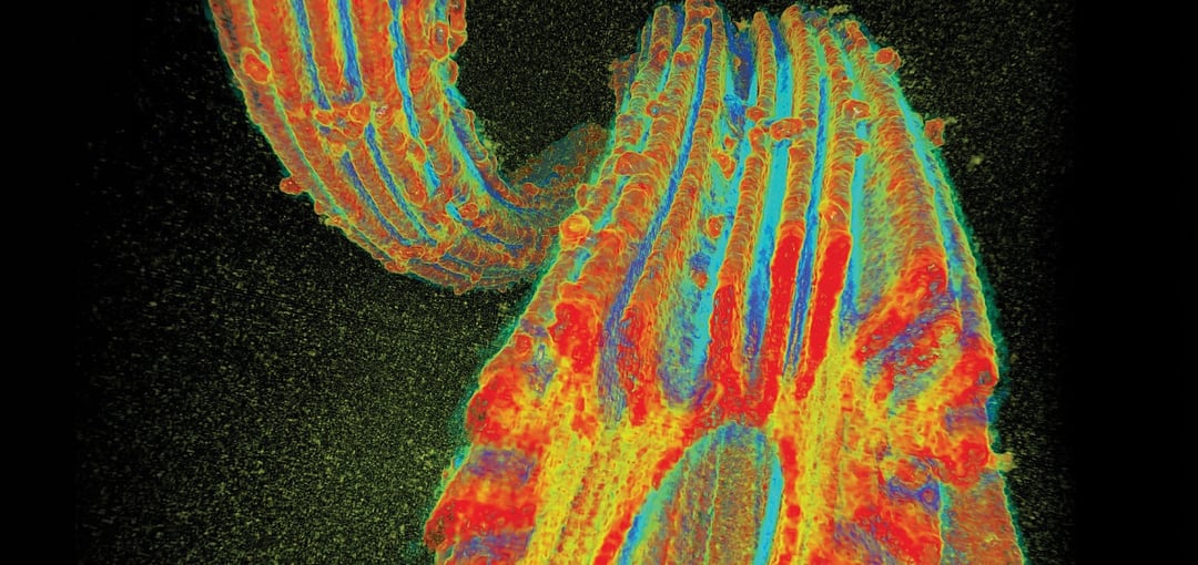 Uran z wody. Nowy filtr znacząco zwiększa wydajność wydobycia i czeka na praktyczne testy