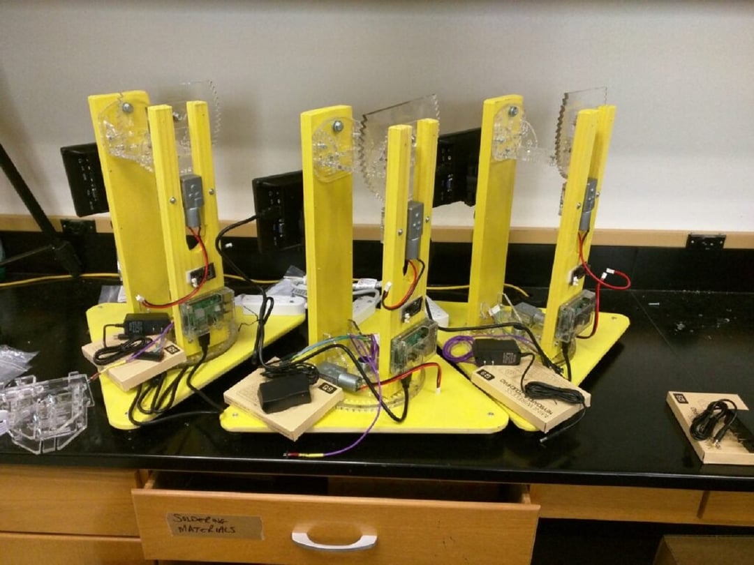 Jak obserwacje Księżyca pomagają w badaniach nad migracjami ptaków?