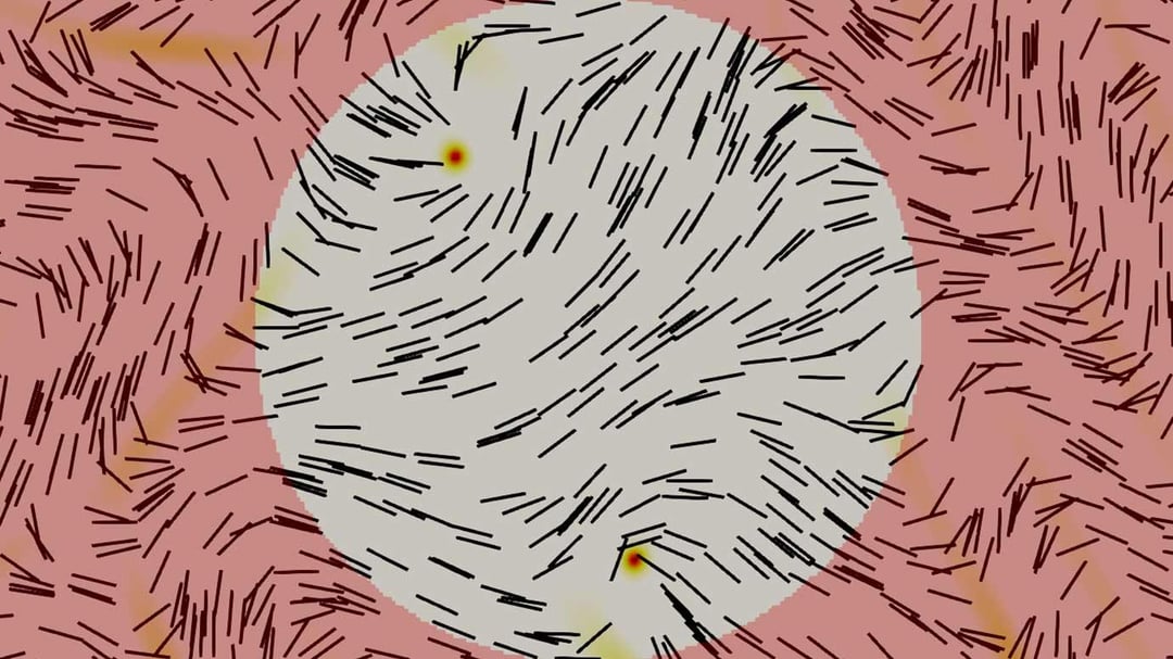 Ciekłe kryształy podstawą komputerów przyszłości? Zrobiliśmy krok bliżej