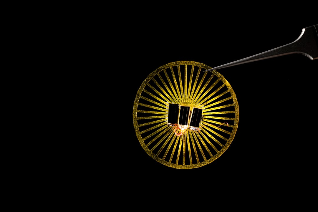 Czujniki jak mniszek lekarski. Najpierw trzeba jednak uporać się z kluczowym problemem