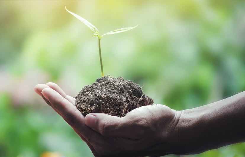 Czysta energia ma coraz większy udział. 2021 rok okazał się rekordowy