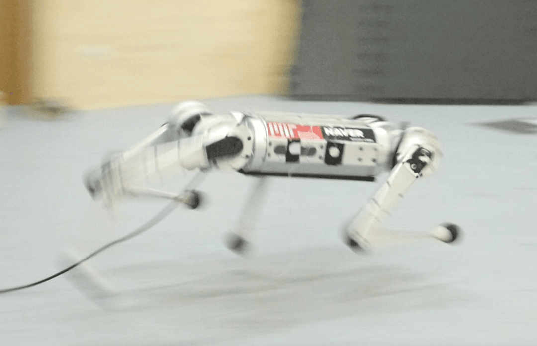 Robot MIT pobija rekord prędkości. Może uczyć się chodzić nie wykonując żadnego kroku