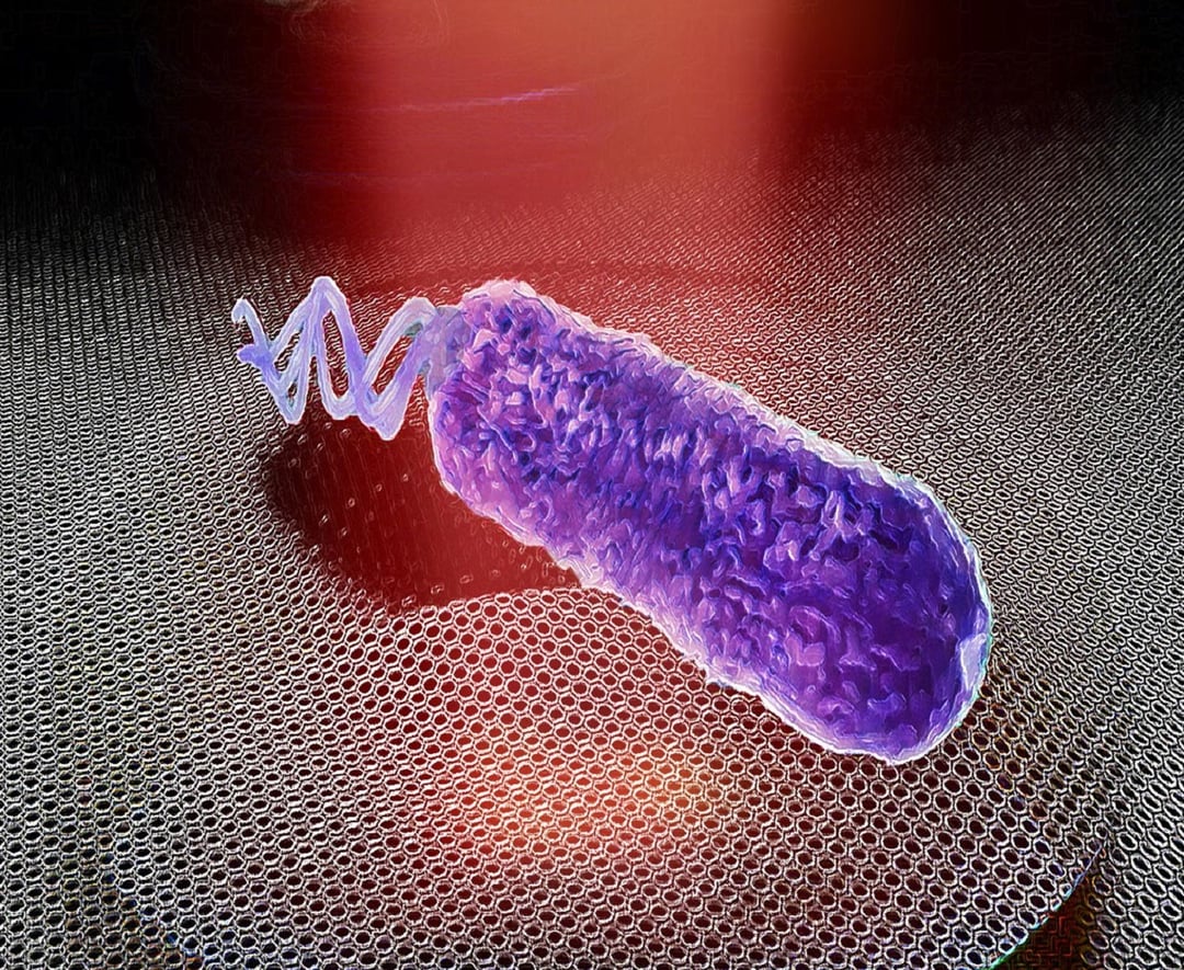 Bakterie wydają dźwięki, które udało się uwiecznić. Przekonajcie się sami