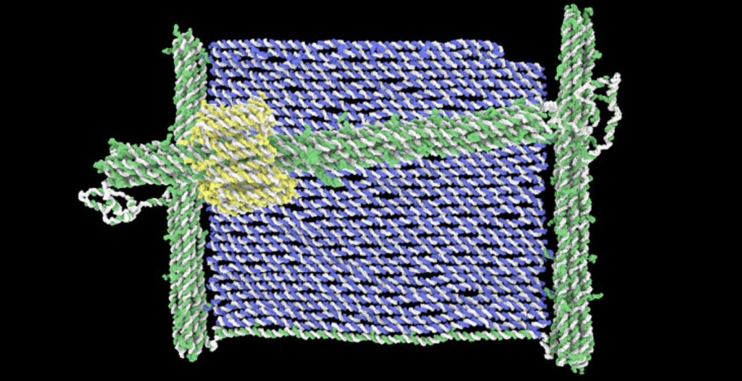 Minidrukarka zbudowana z DNA. Wielka nadzieja dla przyszłych nanomaszyn
