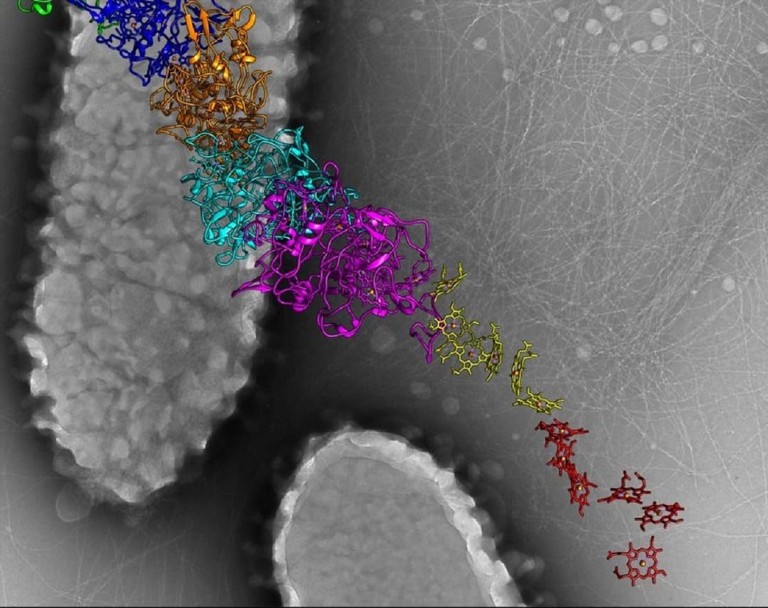 Obwody elektryczne mogą samodzielnie się naprawiać. Naukowców zainspirowały bakterie