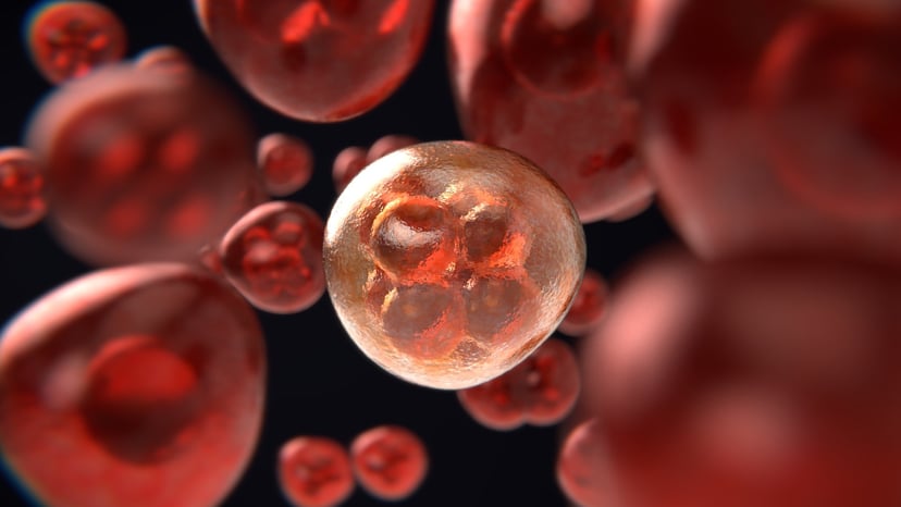 Dlaczego nowotwór staje się agresywny? Drzewo genealogiczne komórek rakowych pomoże rozwikłać tę zagadkę