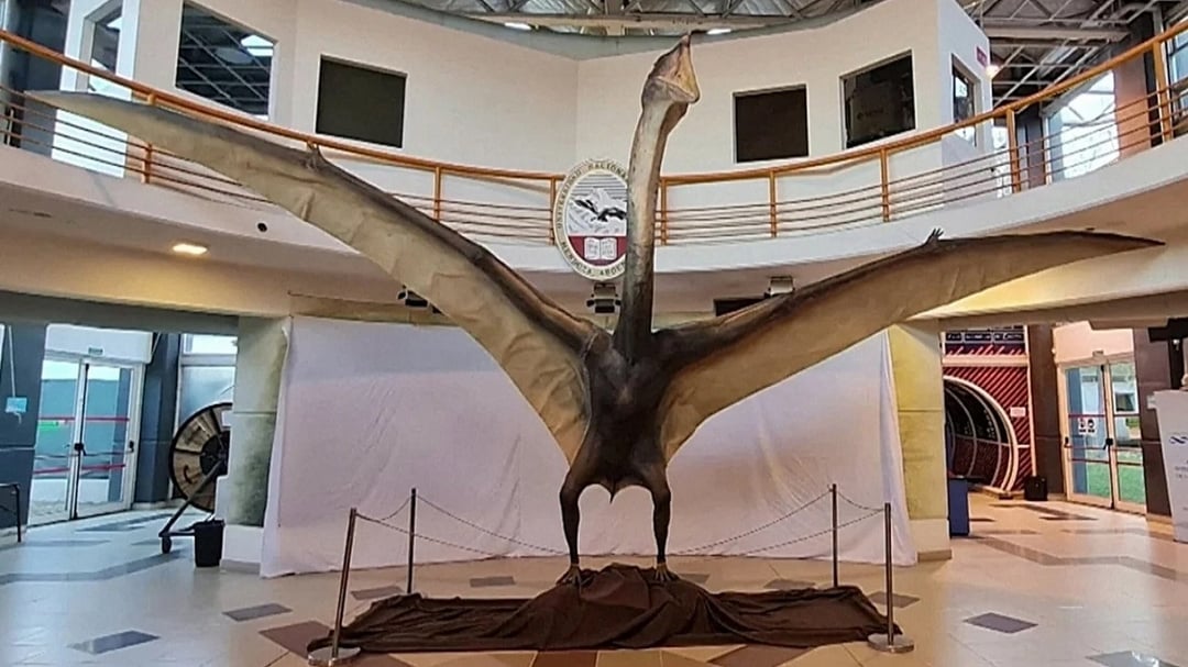 Smok sprzed 86 milionów lat. Paleontolodzy dokonali niesamowitego odkrycia