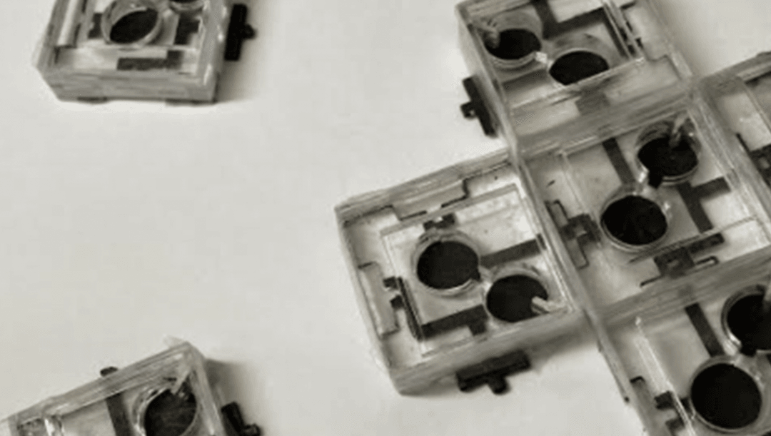 Biobaterie zrewolucjonizują elektronikę? Nadchodzi “inteligentny pył”