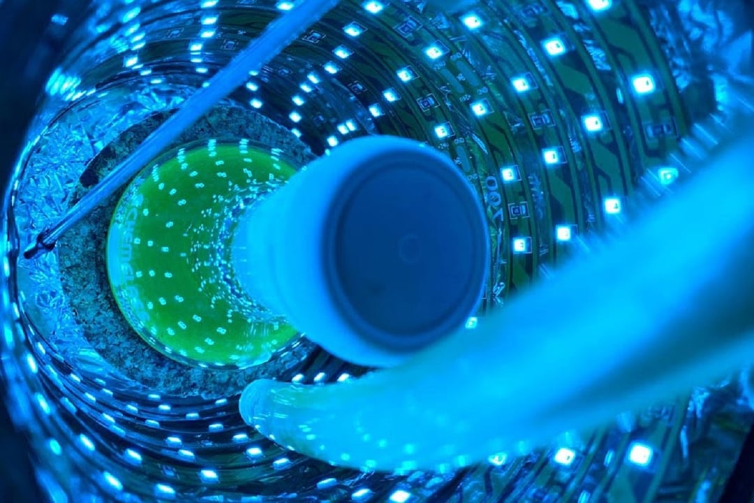 Powstał nowy katalizator zasilany światłem. Jak można go wykorzystać?