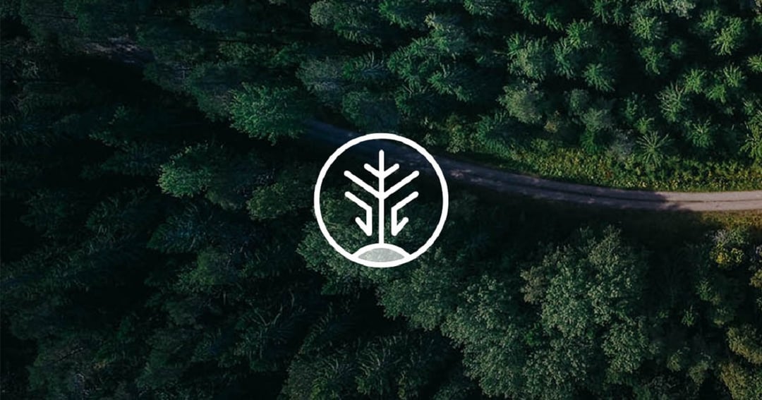 Jak walczyć ze zmianami klimatu? Wykorzystując genetycznie zmodyfikowane drzewa