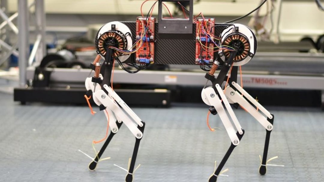 Godzina i rusza w drogę. Tyle wystarczy robotowi, by nauczyć się chodzić