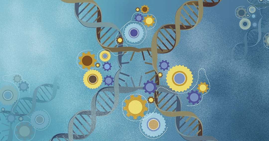 Silniki molekularne pod lupą. Pierwsze tak dokładne badanie na świecie